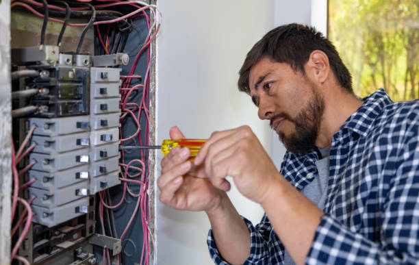 Best Affordable Electrician  in Haines, AK